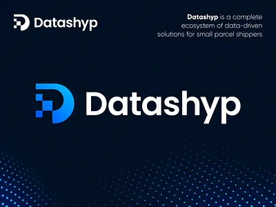Datashyp - Logo Design Concept app logo icon brand assets brand identity brand logo branding branding studio branding team d letter logo data delivery design identity design logo media tech digital shipment wave