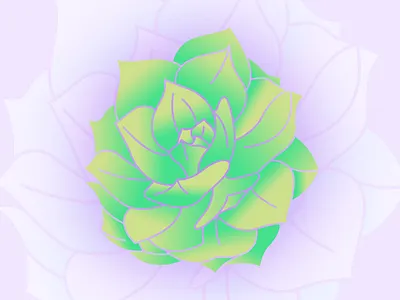 Simple Succulent graphic design illustration illustrator plant simple succulent vector