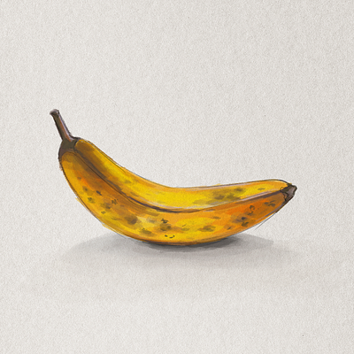 Banana sketch adobephotoshop banana digitalartist digitalpainting fruit illustration illustration art markerillustration markers