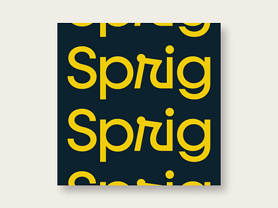 Sprig - Video Ads instagram ads