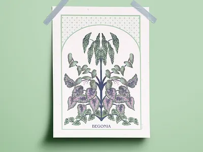 Begonia art artwork begonia illustration jungle plant plants tropical