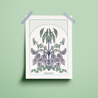 Begonia art artwork begonia illustration jungle plant plants tropical