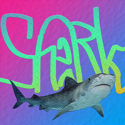 Shark art blue designer graffiti logo pink shark