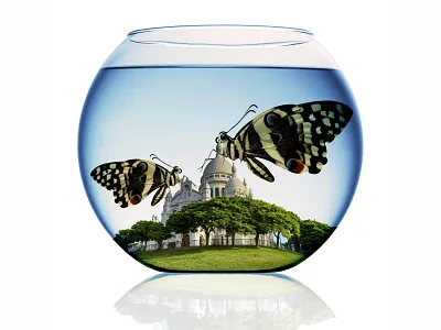 Fun with Photoshop advert branding design graphic design layout photoshop