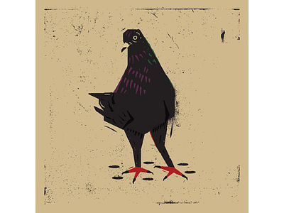 Pigeon digitalart digitaldesign graphicdesign illustration illustrator linocut pigeon retro retro illustration texture vector vintage art vintage illustration woodcut woodcut illustration woodcut print