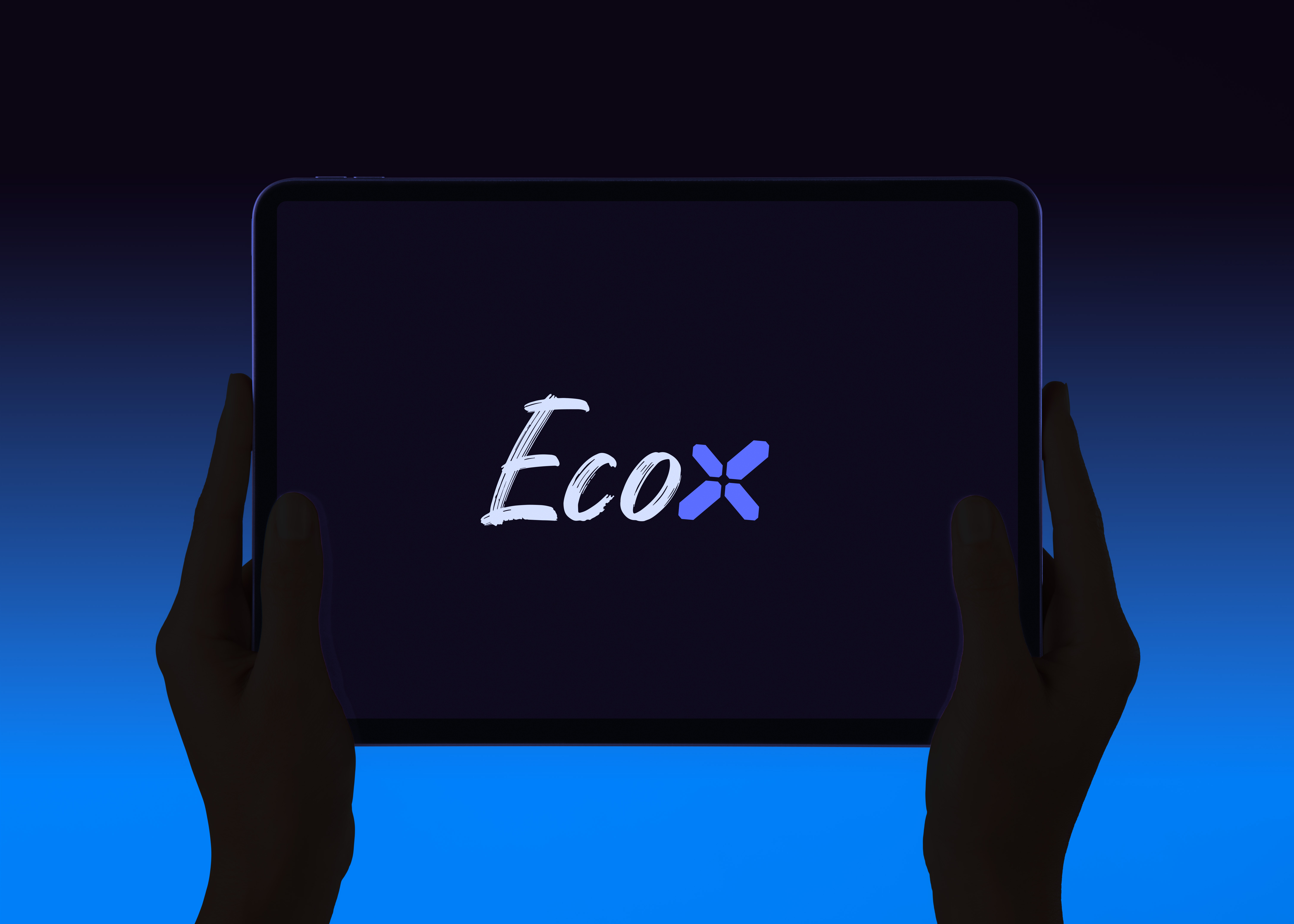 Logo Design: ECOX branding design graphic design logo typography