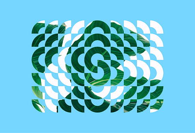 Spread belgium branding brussels design graphic design illustration leaf logo nature vector