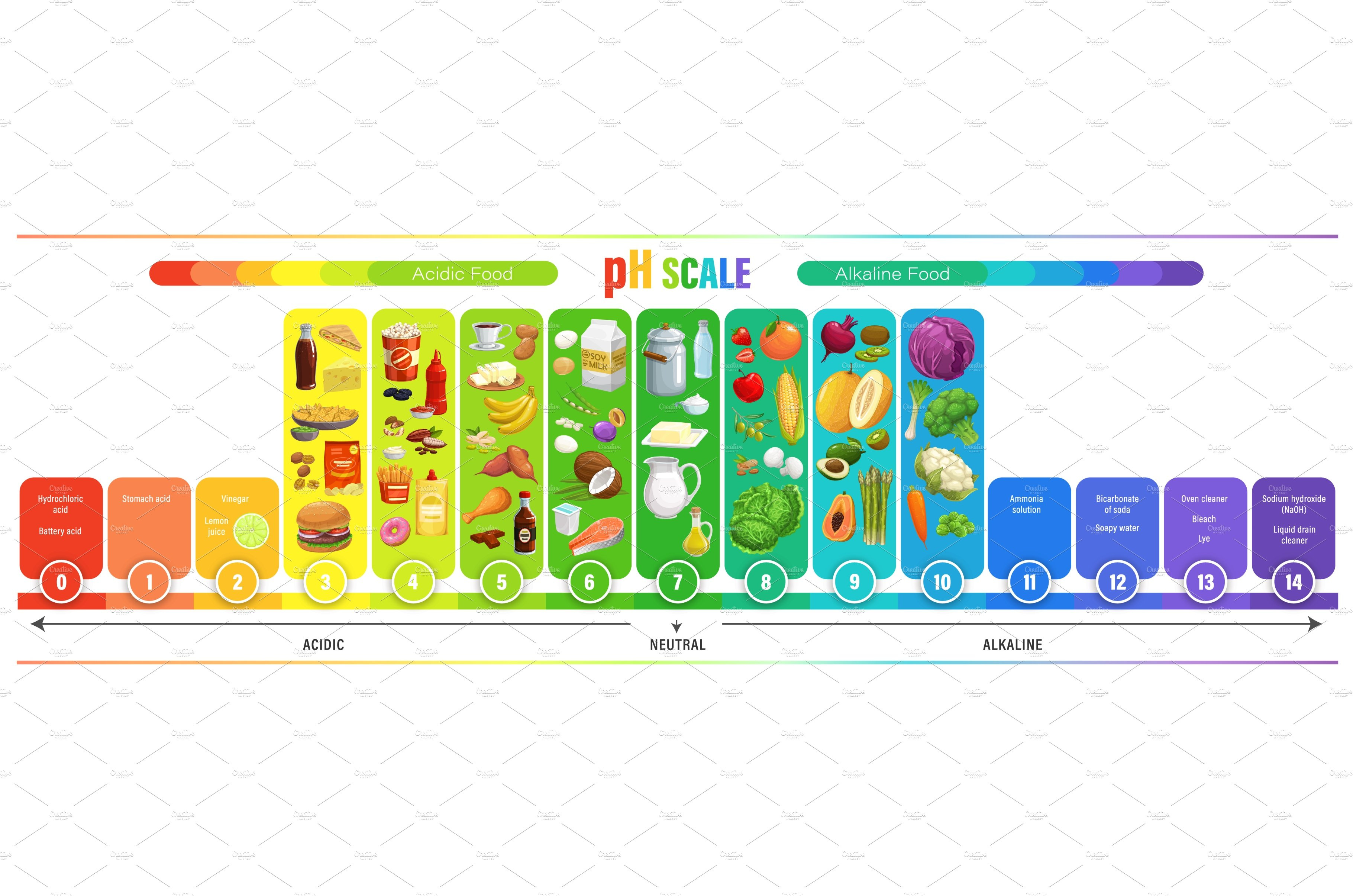 Ph Scale Chart Food Acid Balance By Vector Tradition SM On Dribbble