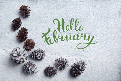 #Hello #February #2022 in #Moldova! branding chisinau creative cromatix cromatix creative image lab cromatixlab design illustration logo moldova