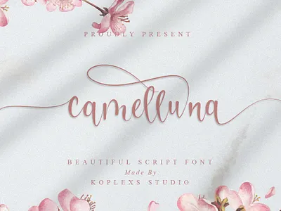 Camelluna Script Font branding display elegant elegant fonts fonts funny graphic design handlettering handmade handwriting handwritten logo playfull typeface