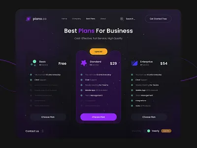 Pricing Plan Web Design design pricing plan web web design web designer website website design