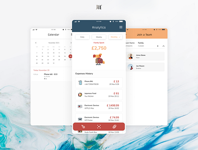 Expense Tracker App Interfaces app design graphic design ui ux