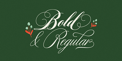 Bibliophile Script calligraphy design font lettering sudtipos typeface typography