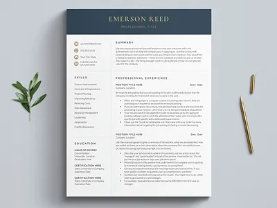 Modern yet professional resume template branding cv template design resume design resume template