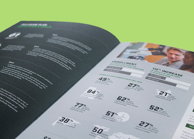 Annual Report Infographic data visualization design infographic print typography