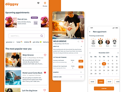 doggsy app too book meeting for pets app dog logo ui ux