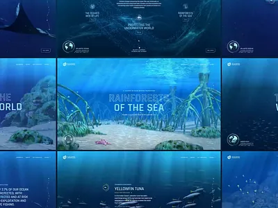 The Sea We Breathe animation ocean ui web web design website