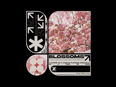 Pink Blossoms aciddesign cool design flower flowers layoutdesign pinkblossoms shapes