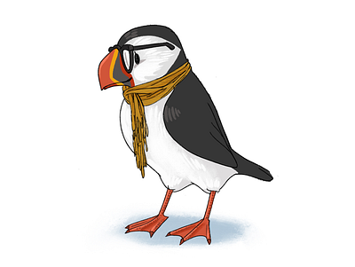 Puffin birds illustration puffin tech illustration