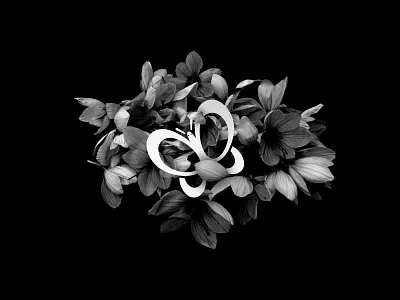 Pavlova Beauty Logo Design best brand brand logo branding classy conceptual design flat graphics illustration logo logo concept logo design logo world logomark logotype minimal modern rabbixel vector