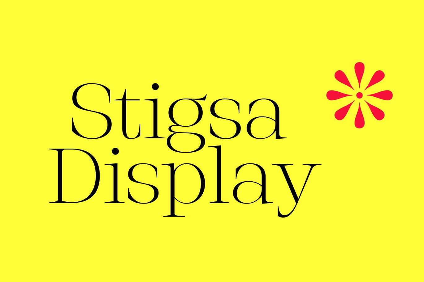 Stigza Display Font app branding design display font graphic design illustration logo serif typeface typography ui ux vector