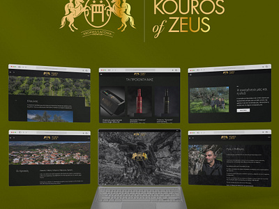 KOYROS of Zeus branding brandingstudio eshop freelancerwebdesigner graphic design greece greek olive oil olive olive oil webdesign webdesigner webdevelopment