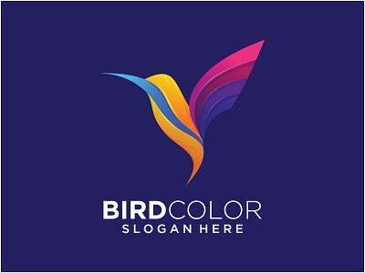 bird colorfull logo design animation branding design graphic design icon illustration logo vector