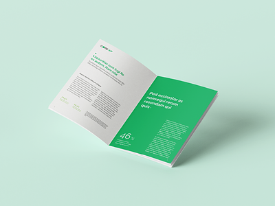 Branding — Brochure Design design green horizontal indesign pattern real estate