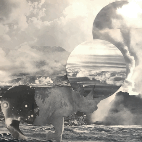 charge animation collage gif illustration rhinoceros surrealism