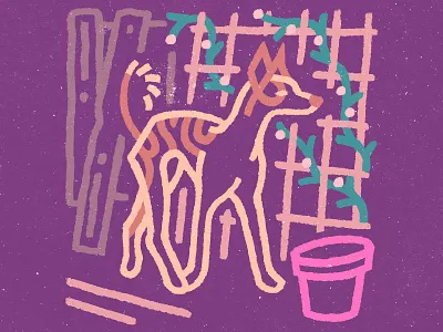 Street Dog art design flat graphic design illustration