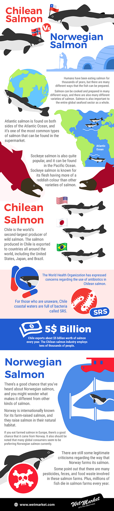 Salmon Infographic