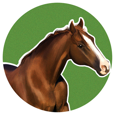 HORSE animation conceptart design digital 2d digitalart digitalpainting illustration
