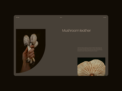 Mycology - Design Exploration 02 aesthetic beige branding brown concept delicate design elegant exploration layout minimal minimalist modern mood mushrooms photography soft ui vegan web