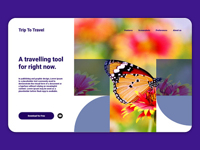 Tip to Travel graphic design ui