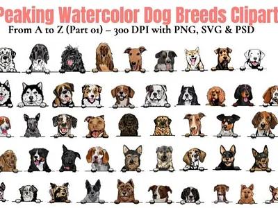 Watercolor Dog Breeds Clipart a-Z Part 1 animation branding bundle design illustration logo template vector