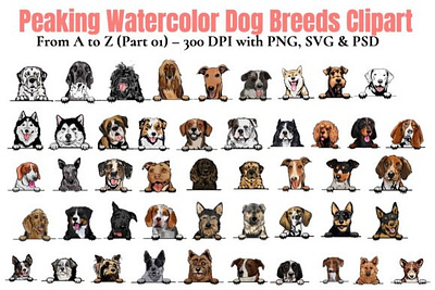 Watercolor Dog Breeds Clipart a-Z Part 1 animation branding bundle design illustration logo template vector