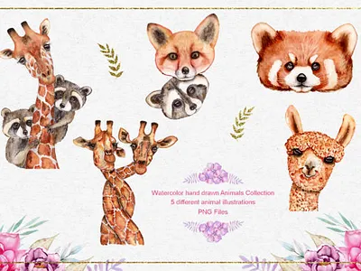 Watercolor Animals and Flowers animation branding bundle design illustration logo template typography vector