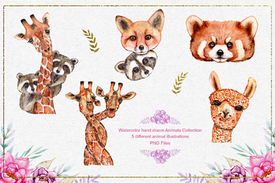 Watercolor Animals and Flowers animation branding bundle design illustration logo template typography vector