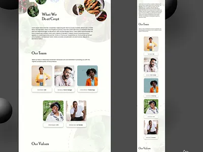 Cropt - Fresh food sourcing brand about us app design design interface design uiux webapp