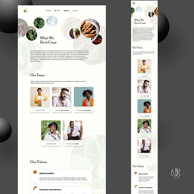 Cropt - Fresh food sourcing brand about us app design design interface design uiux webapp