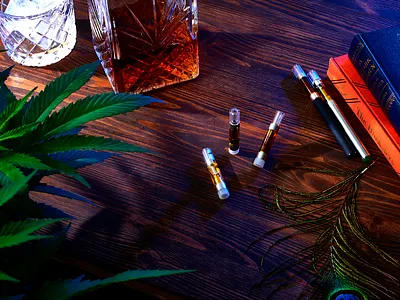 LW brand shoot art direction branding creative direction direction