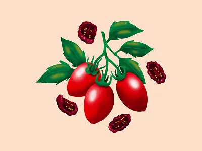 Authentica World Cuisine Illustrations - Siciliana authentica brand design design style drawing illustrat illustration illustration art procreate social vegetables
