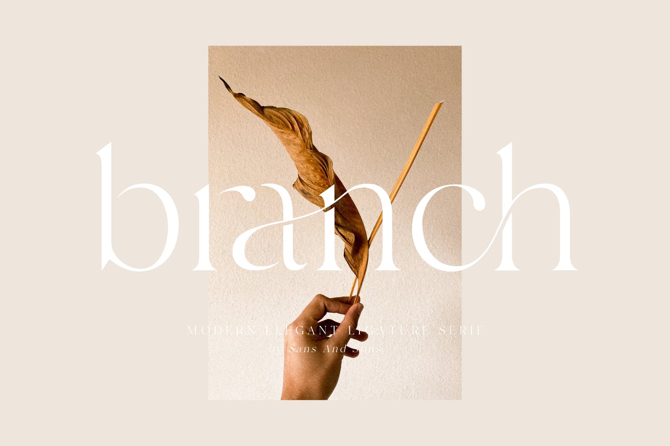 Branch Ligature Font app branding design display fashion font graphic design illustration logo luxury serif typeface typography ui ux vector wedding