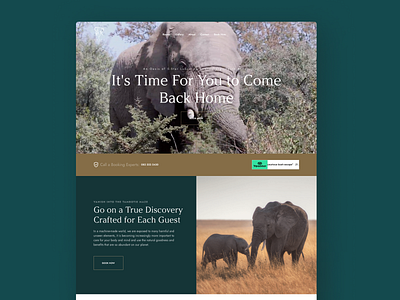 Mbazo Safari Lodge Website 01 / 04 minimal ui ux web