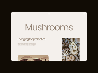 Mycology - Design Exploration 03 aesthetic beige branding concept delicate design elegant exploration graphic design layout light minimal modern mushrooms rounded soft typography ui web web design