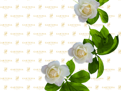 Gartenia x Uncanny branding design icon illustration logo typography vector