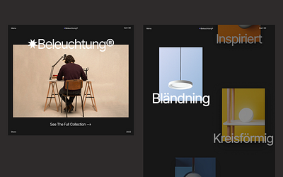 ✸Beleuchtung Woo-commerce shop branding design design thinking elementor licht site typography ui uiux webdesign website woo wordpress