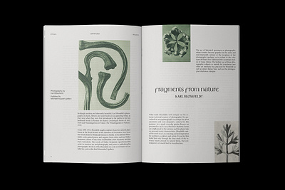 Epitaph Magazine book branding design editorial graphic design publication typography