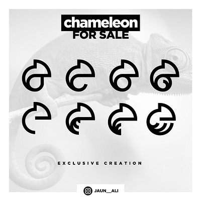 Chameleon Logo For Sale / Logo Idea / Minimal Logo cameleon chameleon logo idea design graphic designs graphics illustration logo logos minimal logo modern illustrations