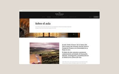 Aula Pedro Vivanco branding graphic design web design